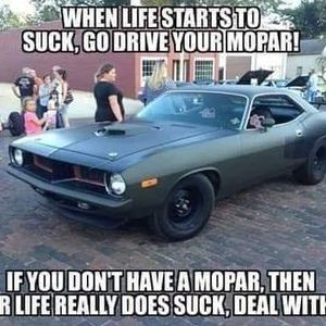 Meet your Posher, Bradley